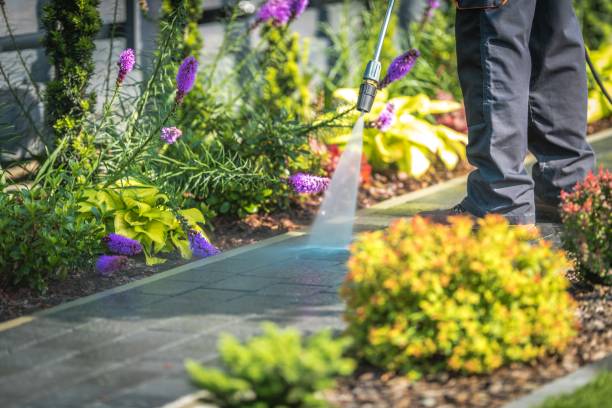 Best Sidewalk and Walkway Cleaning  in Carrabelle, FL