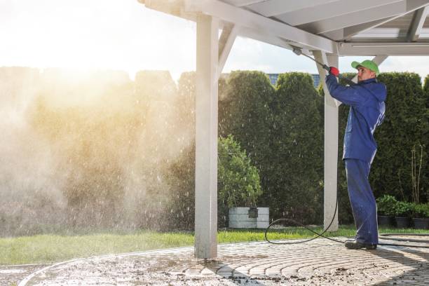 Best Driveway Pressure Washing  in Carrabelle, FL